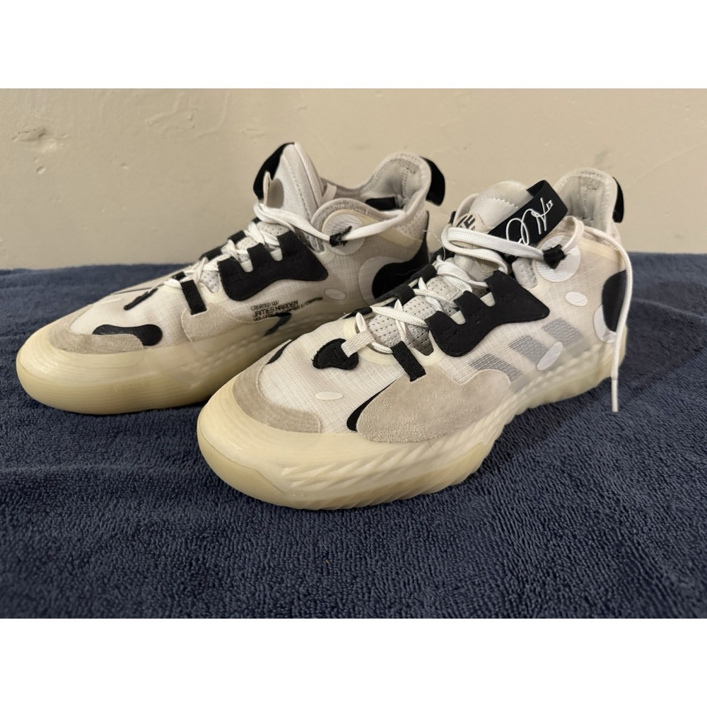 adidas Harden Vol. 5 Futurenatural White/Black Size 7 1/2 APE 779001 BKLYN